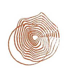 סהר מזרן ומכשירים 24