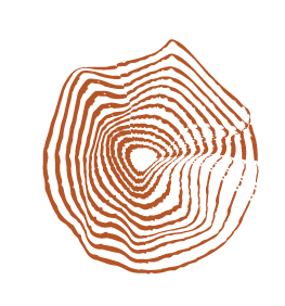 יהב קורס מזרן ומכשירים 24